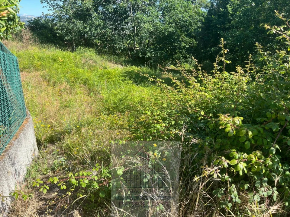 Terreno para Venda em Oliveira do Conde Foto 6