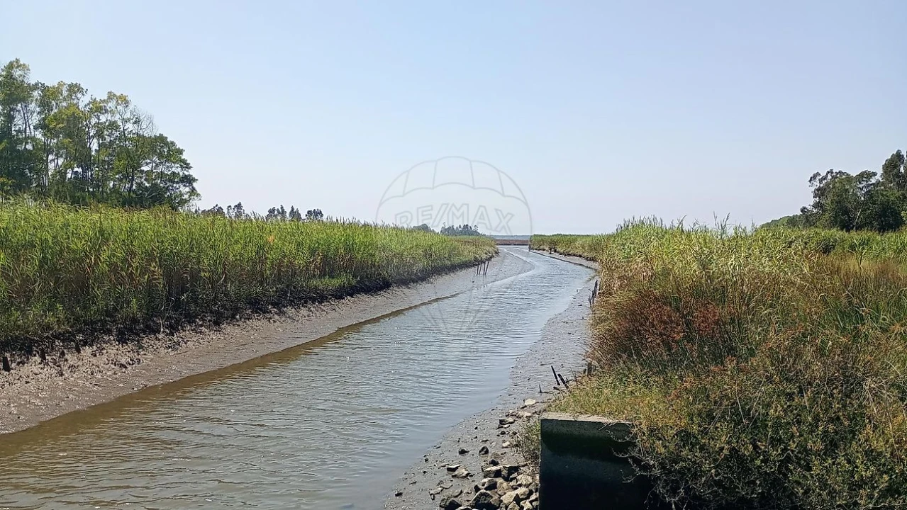 Terreno para Venda em Valega Foto 2