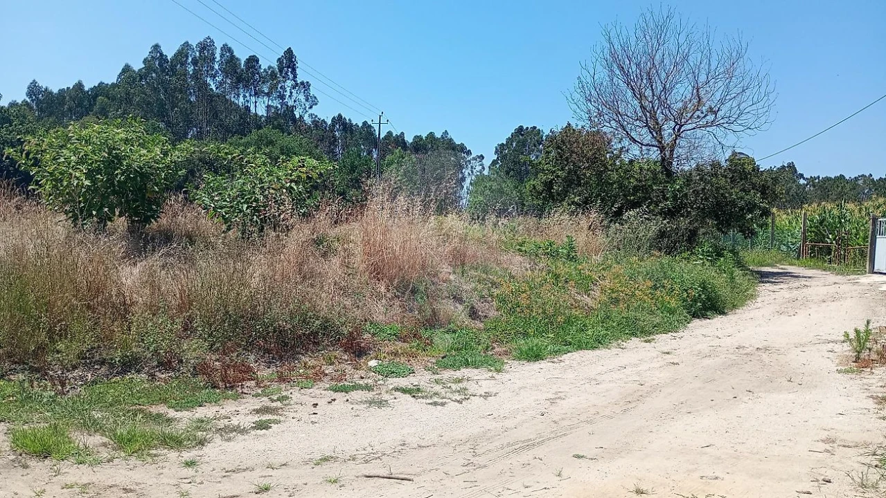 Terreno para Venda em Valega Foto 9
