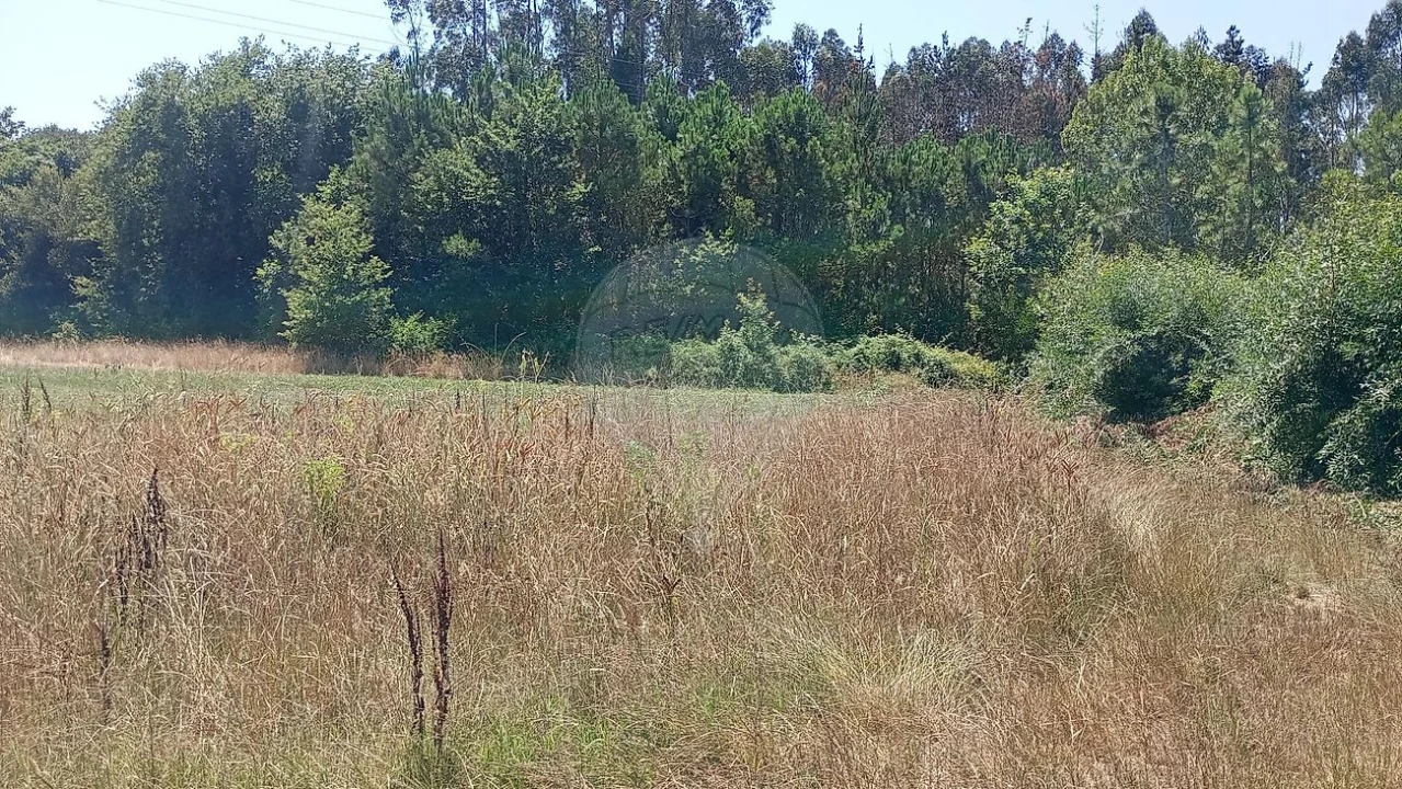 Terreno para Venda em Valega Foto 10