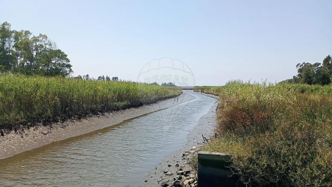 Terreno para Venda em Valega