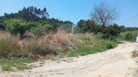 Terreno para Venda em Valega