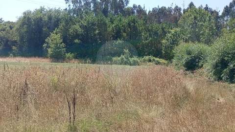 Terreno para Venda em Valega