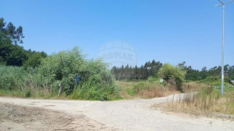 Terreno para Venda em Valega