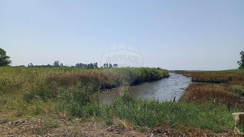 Terreno para Venda em Valega