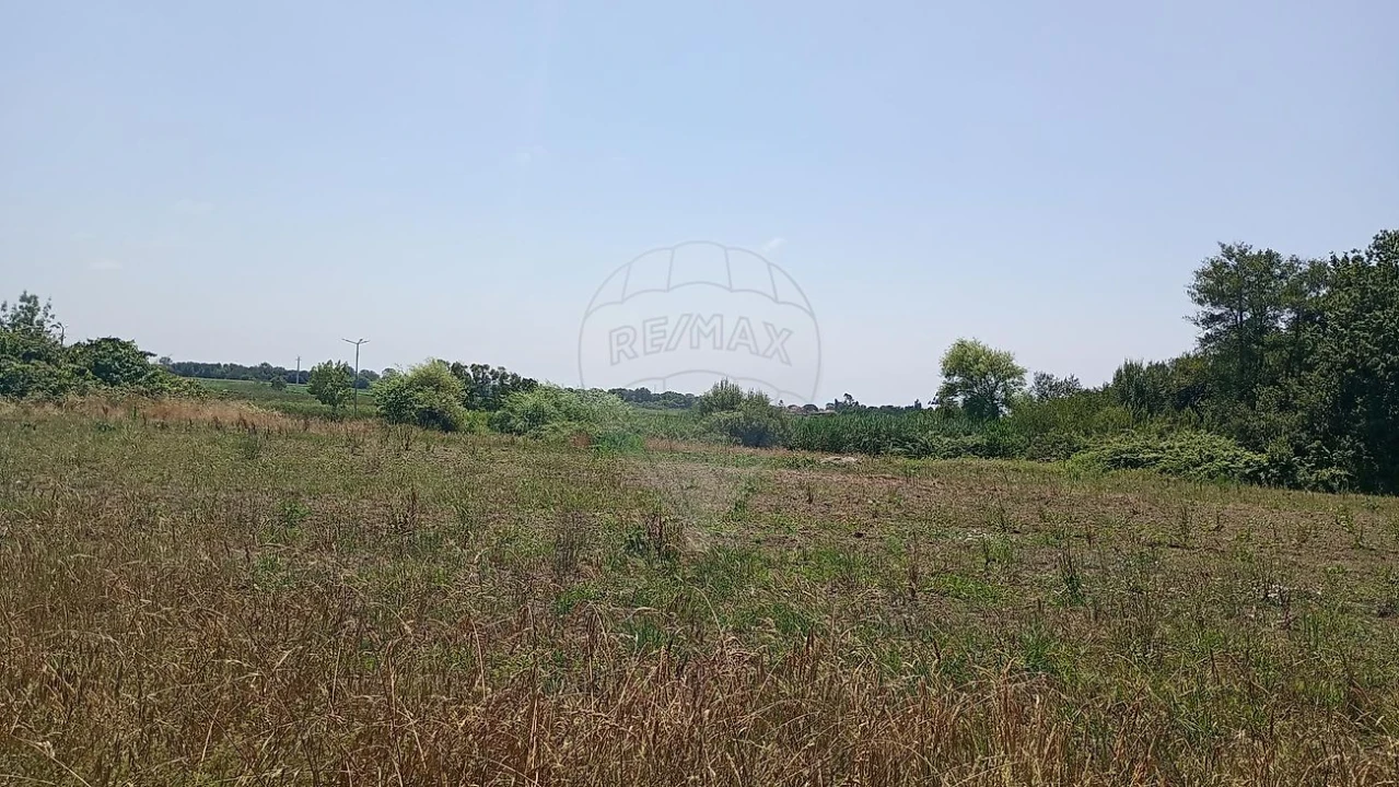 Terreno para Venda em Valega Foto 8