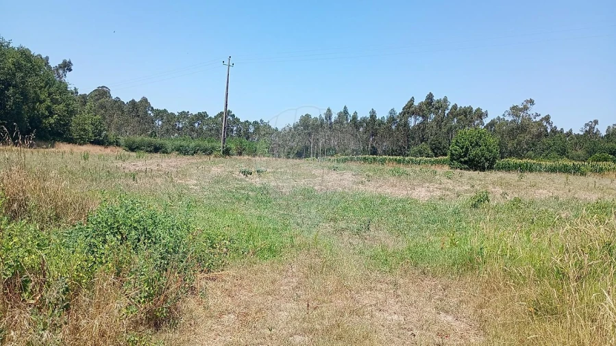 Terreno para Venda em Valega Foto 5