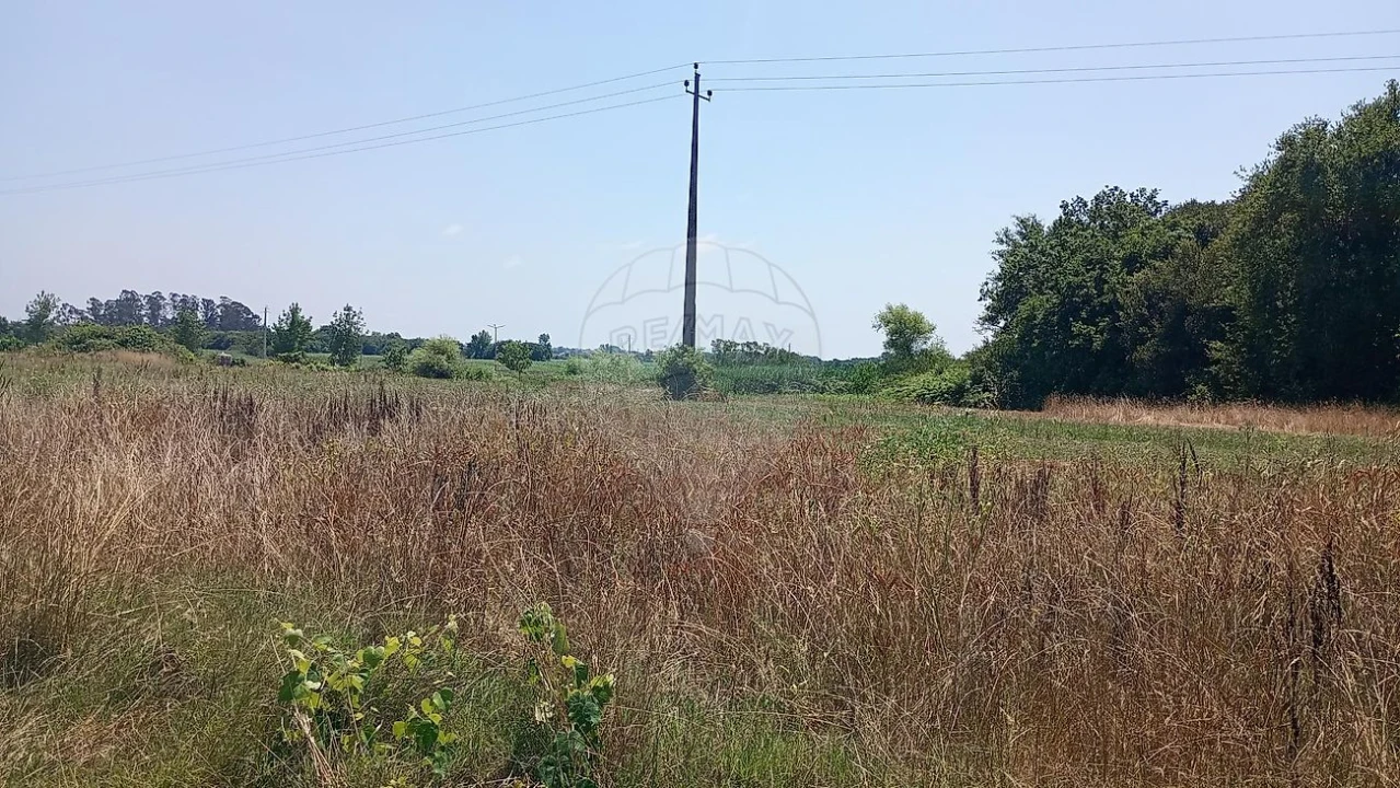 Terreno para Venda em Valega Foto 6
