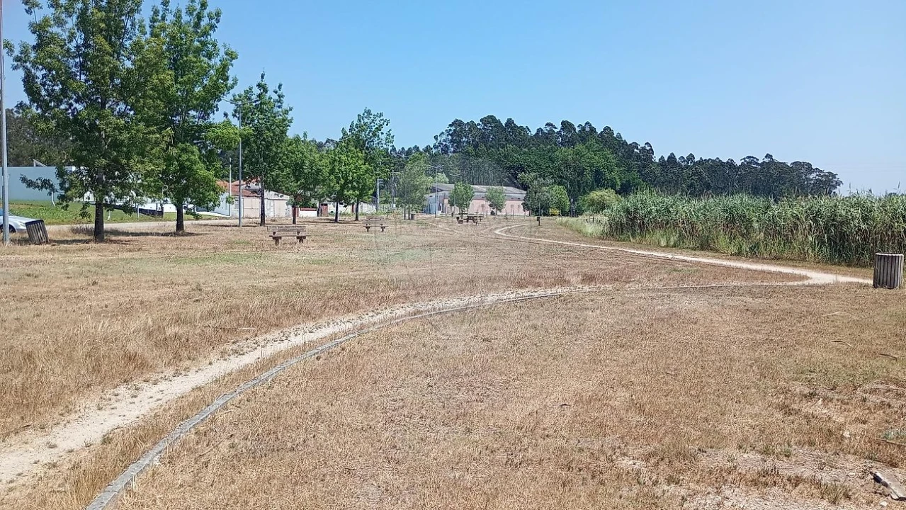 Terreno para Venda em Valega Foto 3