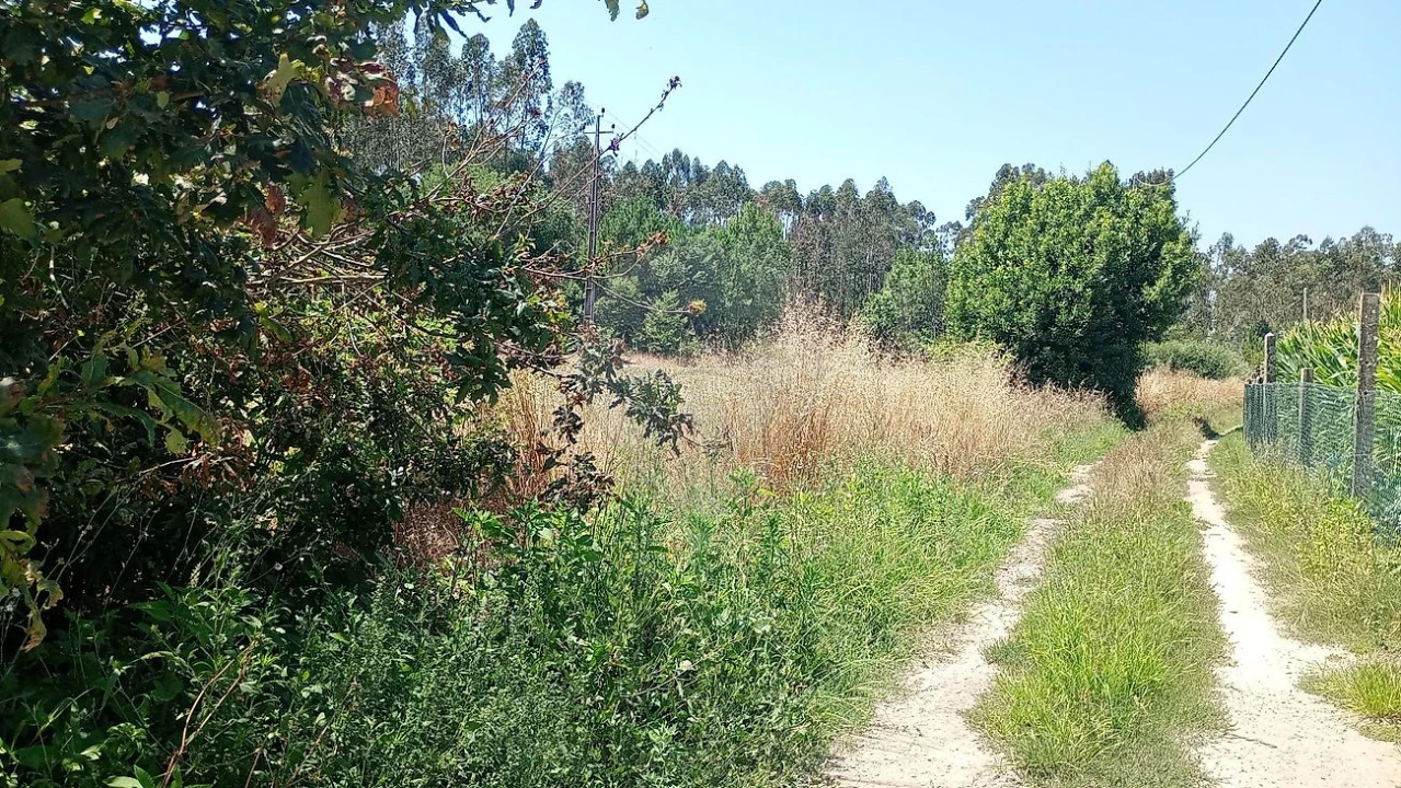 Terreno para Venda em Valega Foto 7