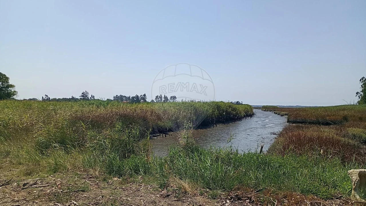 Terreno para Venda em Valega Foto 1