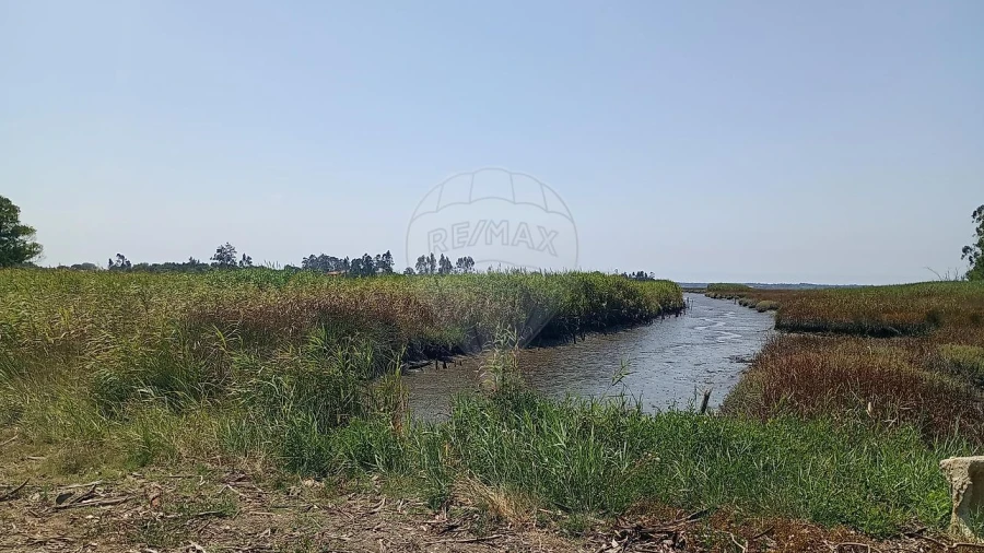 Terreno para Venda em Valega