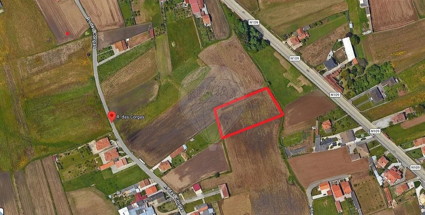 Terreno para Venda em Valega Foto 3