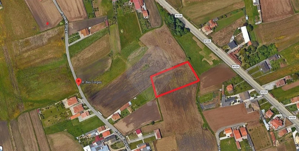 Terreno para Venda em Valega Foto 3