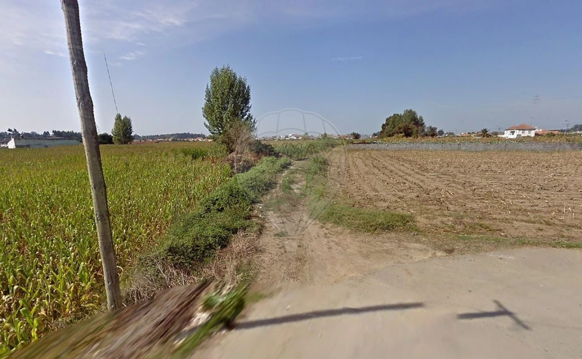 Terreno para Venda em Valega Foto 1