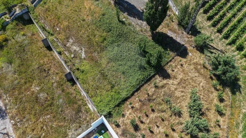 Terreno para Venda em Carvoeira e Carmões