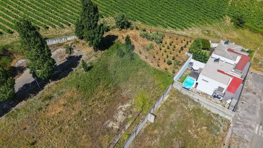 Terreno para Venda em Carvoeira e Carmões Foto 4