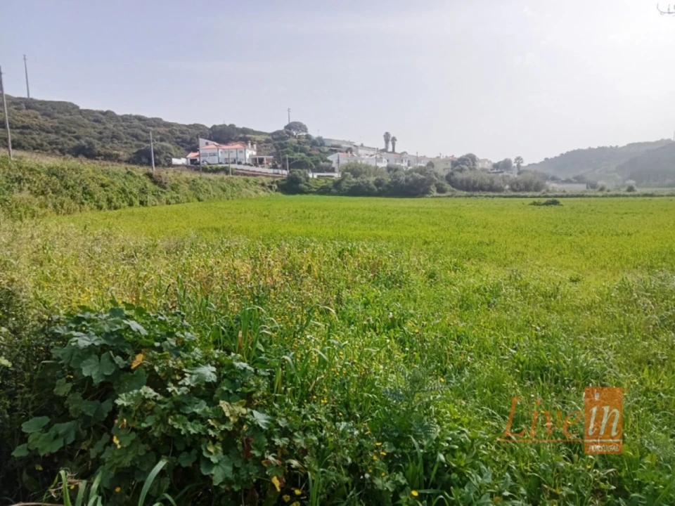 Terreno Agricola ou Rústico para Venda em Santo Isidoro Foto 3