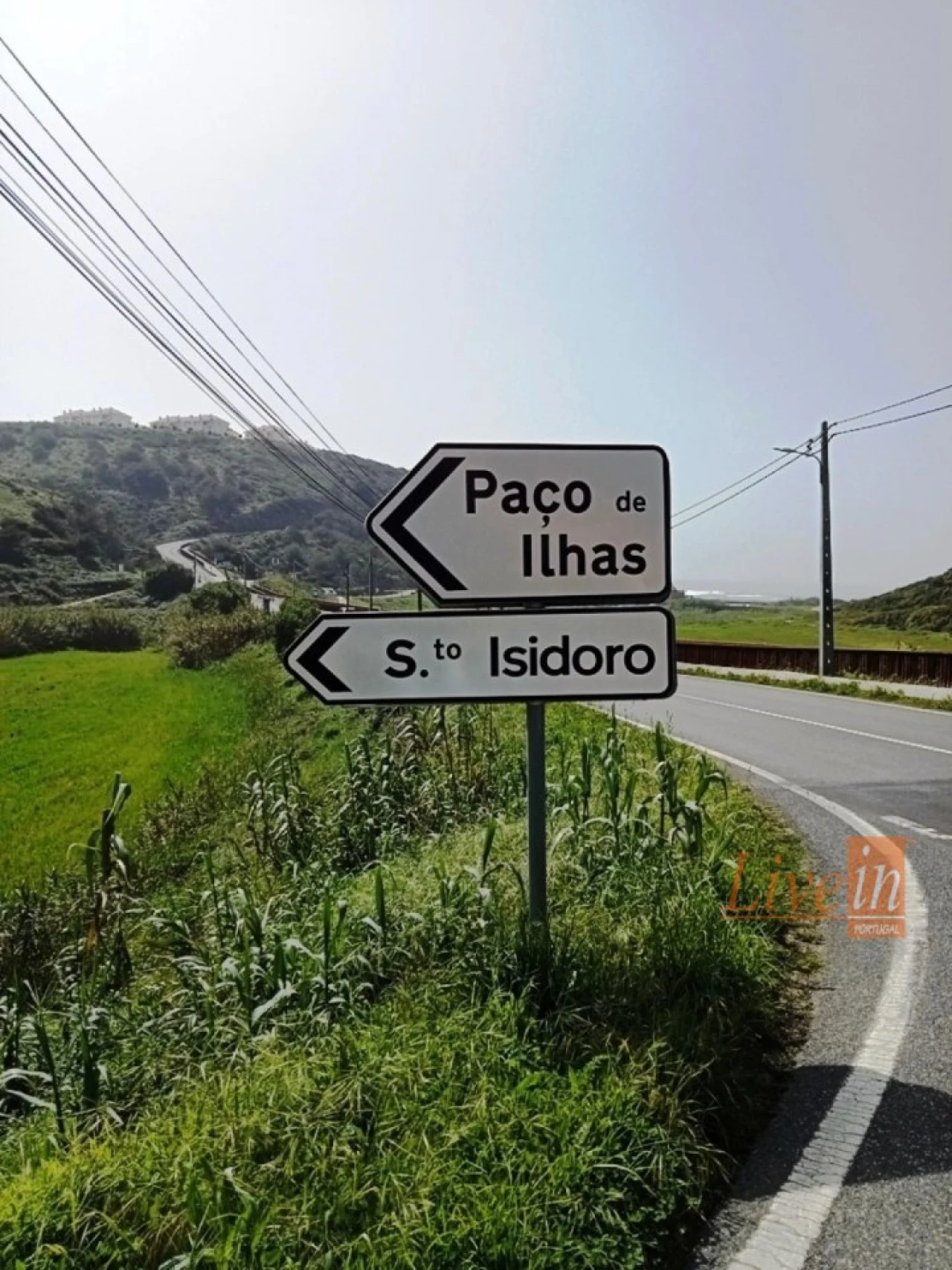 Terreno Agricola ou Rústico para Venda em Santo Isidoro Foto 2