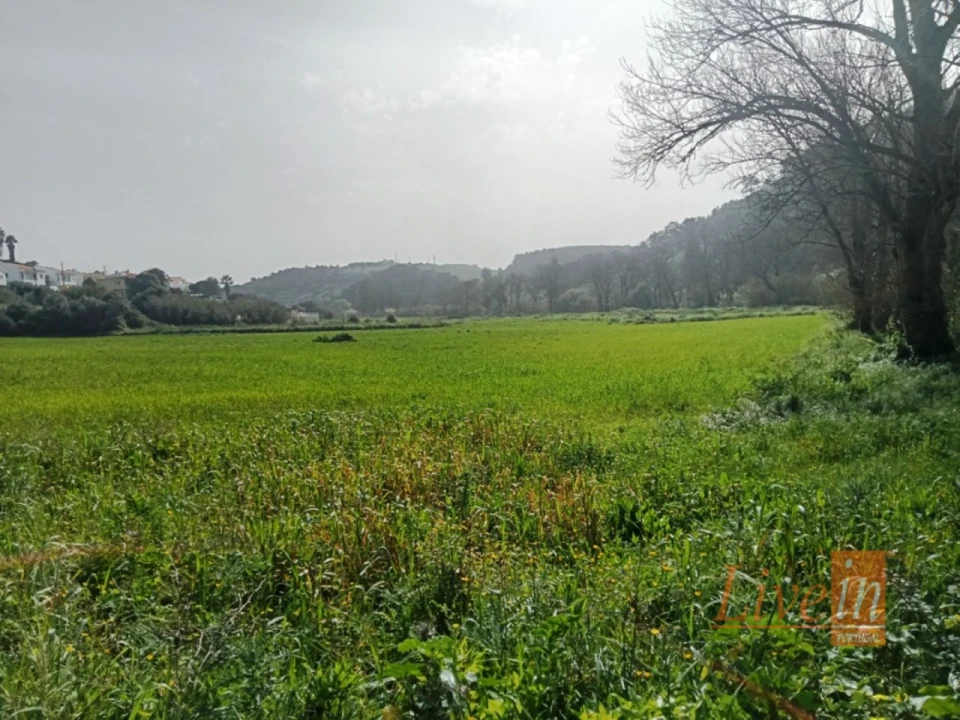 Terreno Agricola ou Rústico para Venda em Santo Isidoro Foto 4