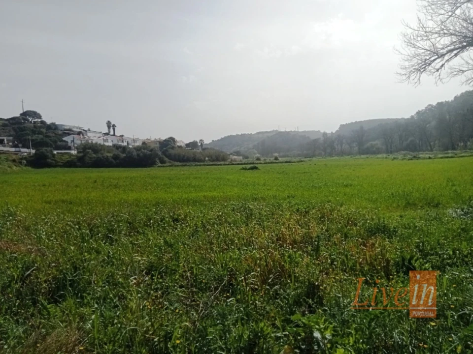 Terreno Agricola ou Rústico para Venda em Santo Isidoro Foto 5