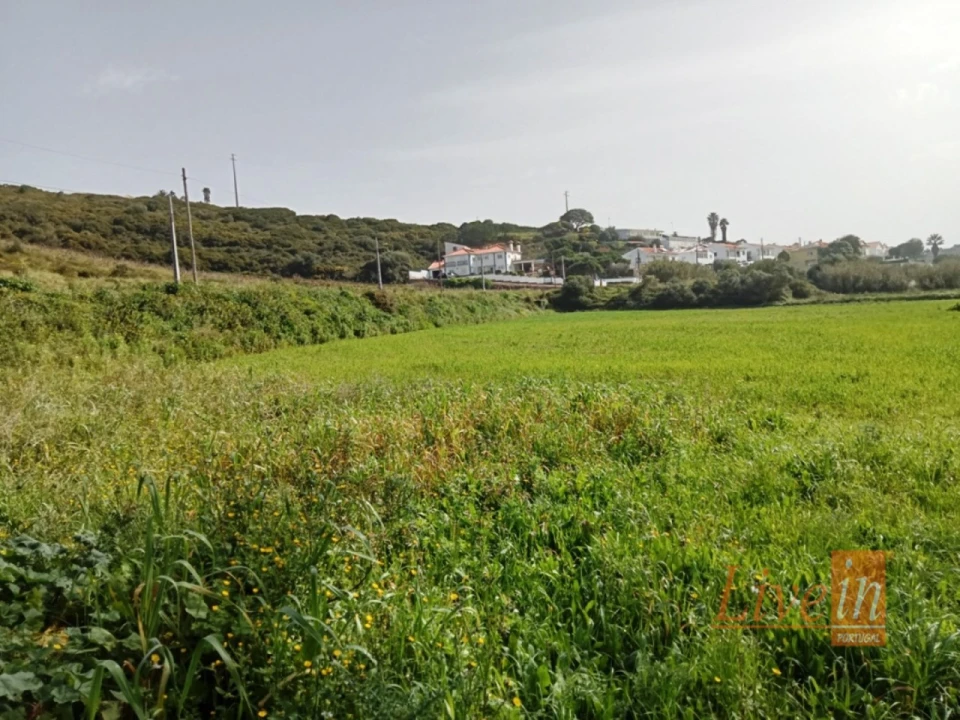 Terreno Agricola ou Rústico para Venda em Santo Isidoro Foto 6