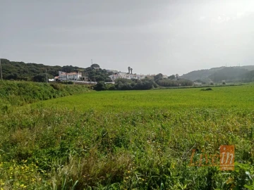 Terreno Agricola ou Rústico para Venda em Santo Isidoro