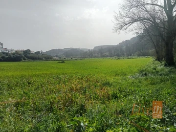Terreno Agricola ou Rústico para Venda em Santo Isidoro