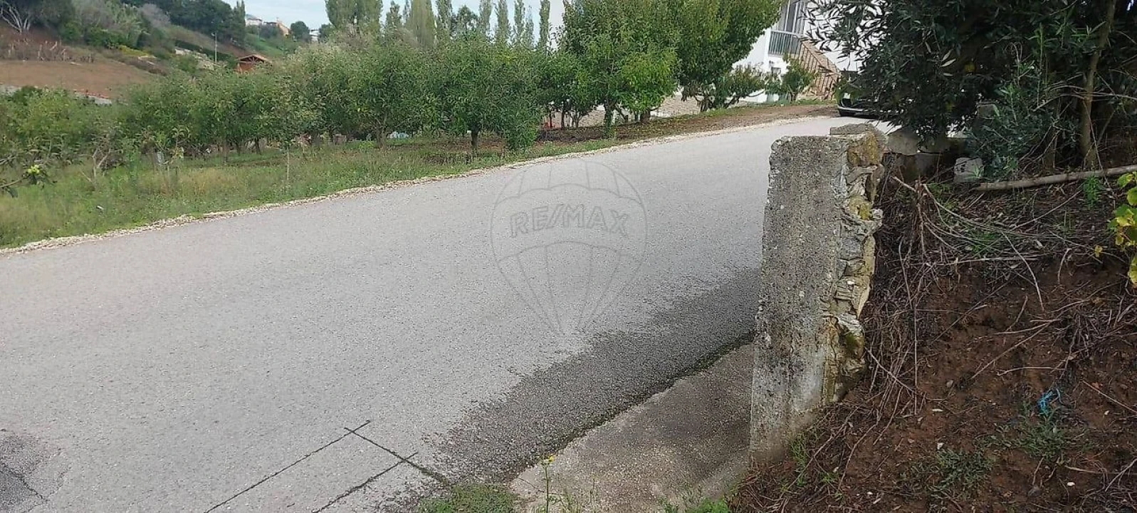 Terreno para Venda em Evora de Alcobaça Foto 4