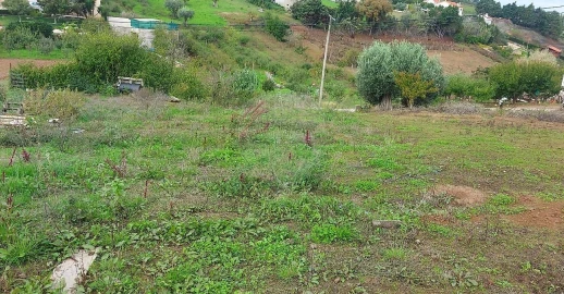 Terreno para Venda em Evora de Alcobaça
