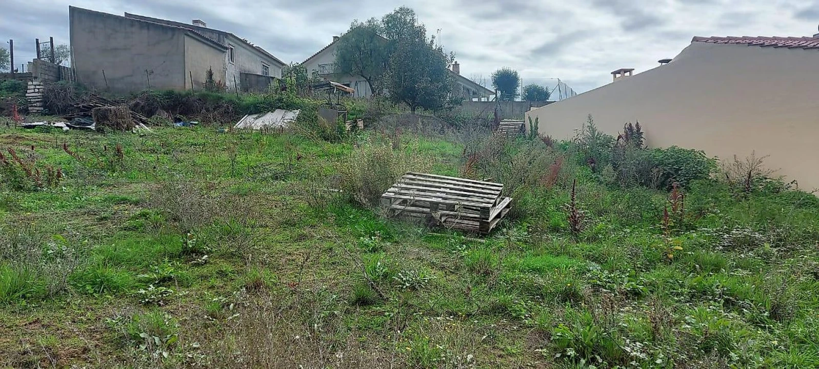 Terreno para Venda em Evora de Alcobaça Foto 7