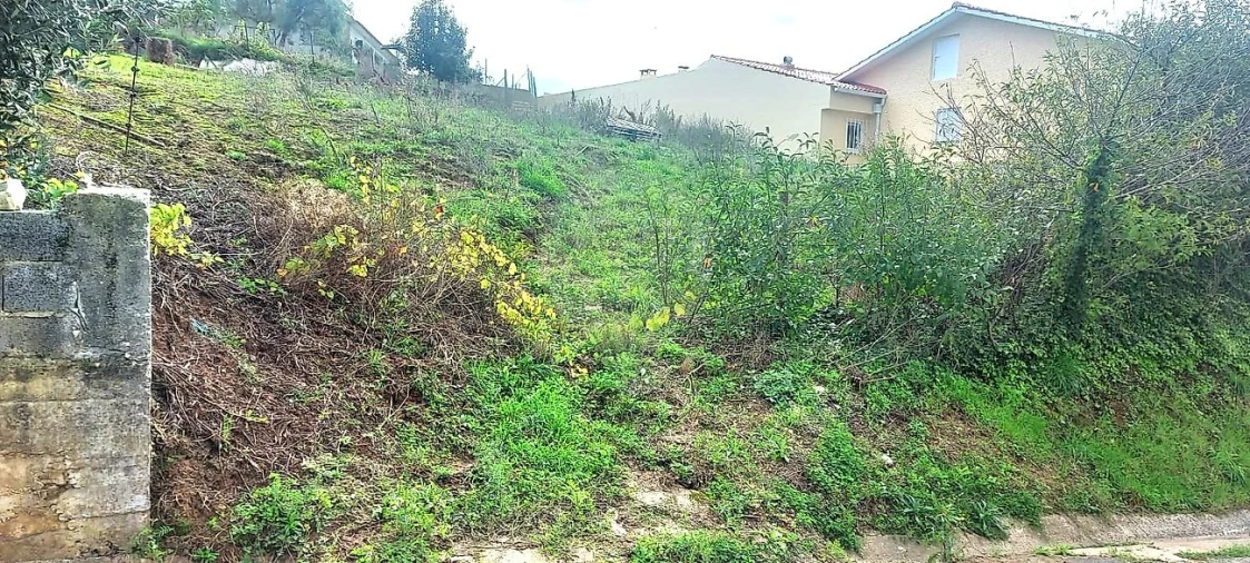 Terreno para Venda em Evora de Alcobaça Foto 10