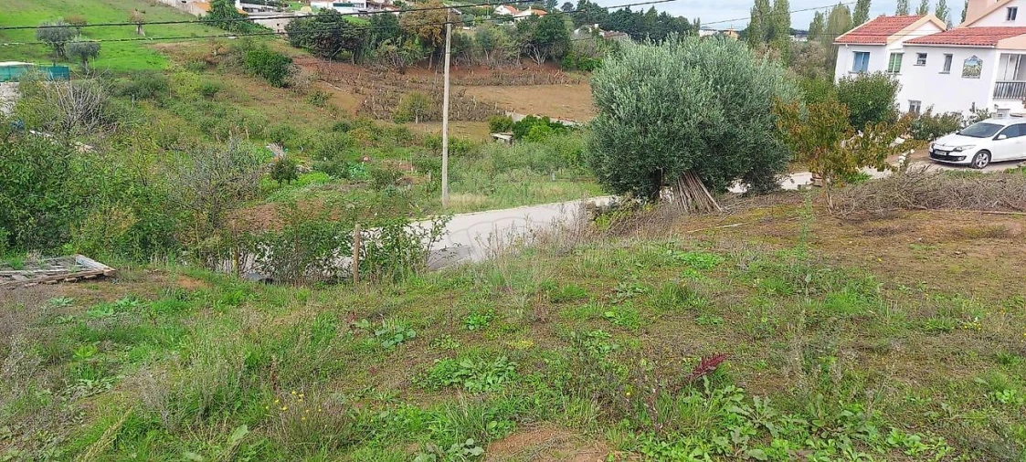 Terreno para Venda em Evora de Alcobaça Foto 5