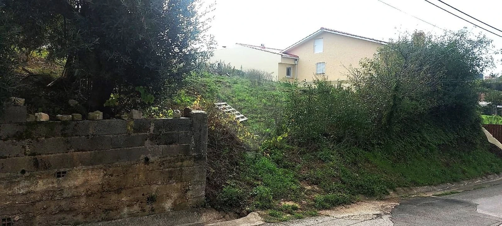 Terreno para Venda em Evora de Alcobaça Foto 3