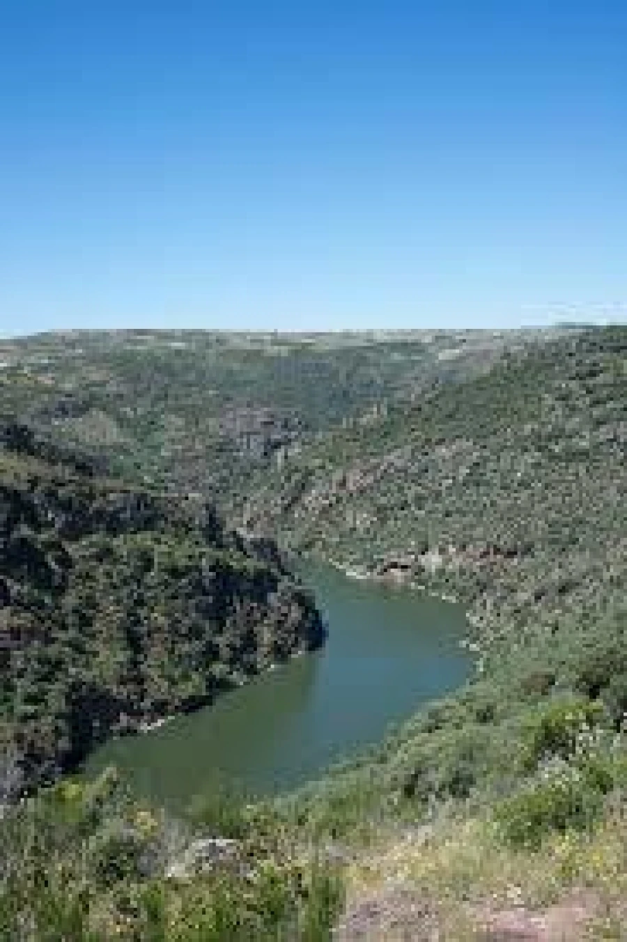 Moradia T5 para Venda em Santa Marinha e São Pedro da Afurada Foto 23