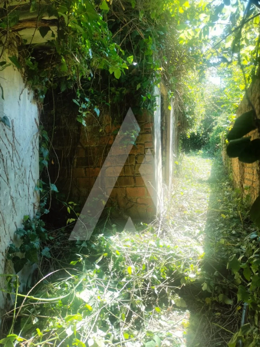Moradia para Venda em São João da Madeira Foto 22