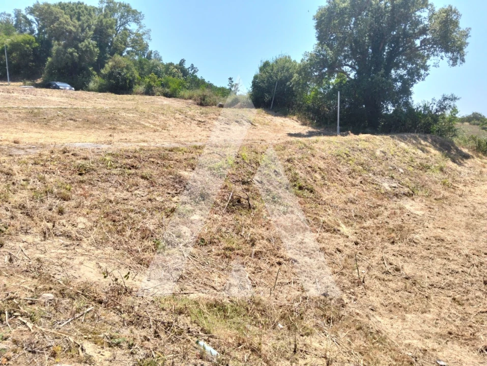 Terreno para Venda em Darque Foto 15