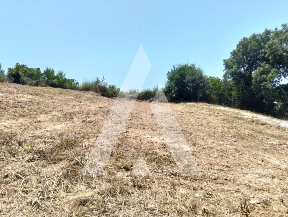 Terreno para Venda em Darque Foto 17