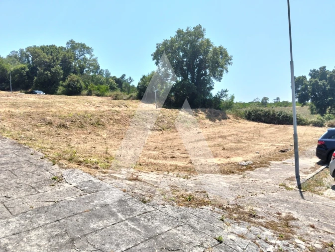 Terreno para Venda em Darque Foto 5
