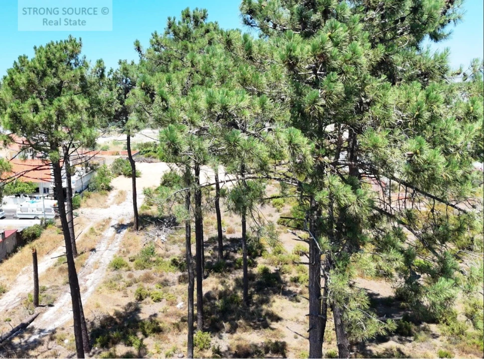 Terreno para Venda em Charneca de Caparica e Sobreda Foto 20