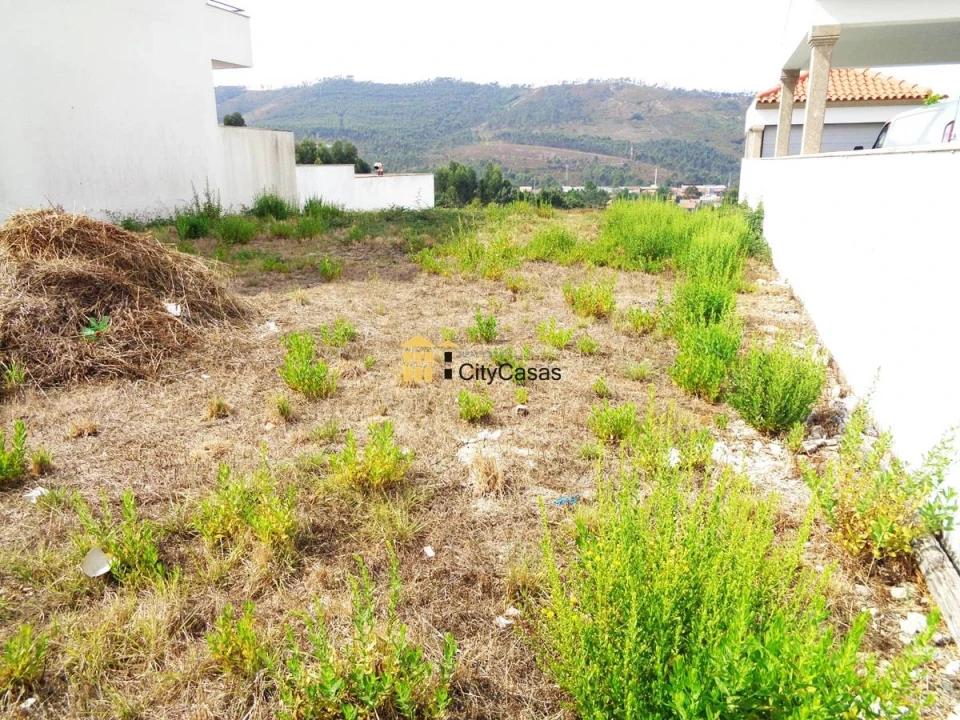 Terreno para Venda em Campo e Sobrado Foto 2