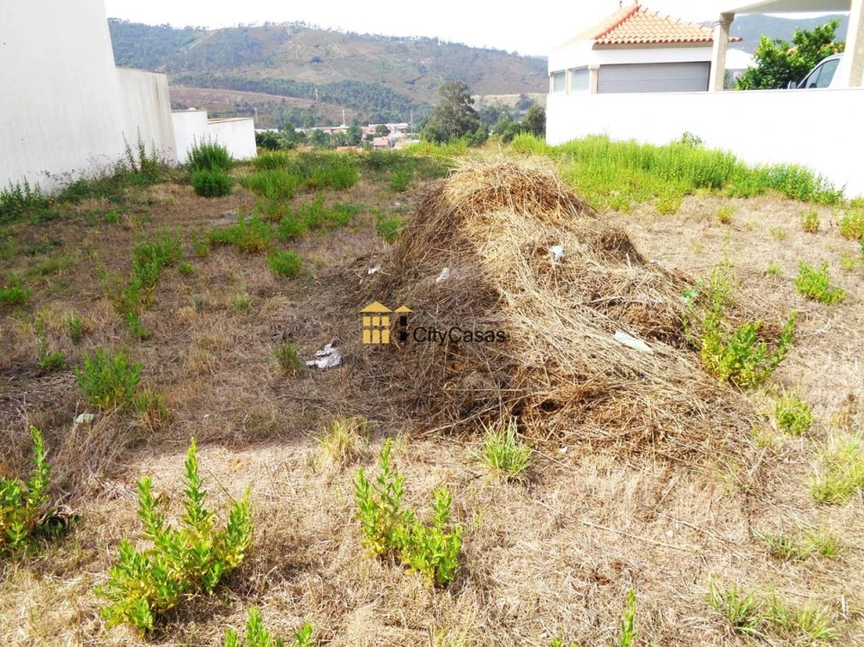 Terreno para Venda em Campo e Sobrado Foto 3