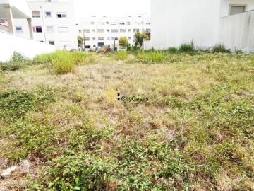 Terreno para Venda em Campo e Sobrado