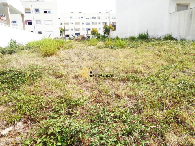 Terreno para Venda em Campo e Sobrado Foto 8