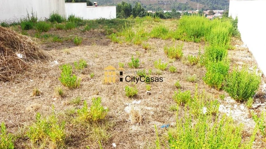 Terreno para Venda em Campo e Sobrado