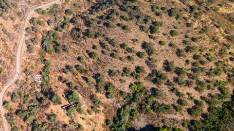 Terreno Misto para Venda em Alcoutim e Pereiro