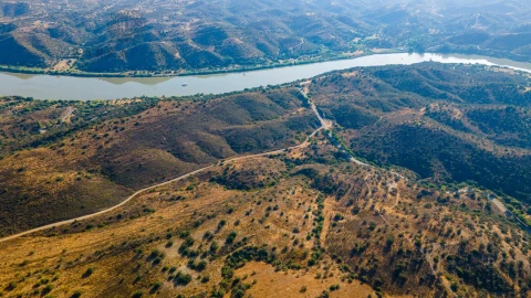 Terreno Misto para Venda em Alcoutim e Pereiro
