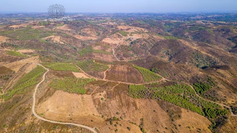 Terreno Misto para Venda em Alcoutim e Pereiro