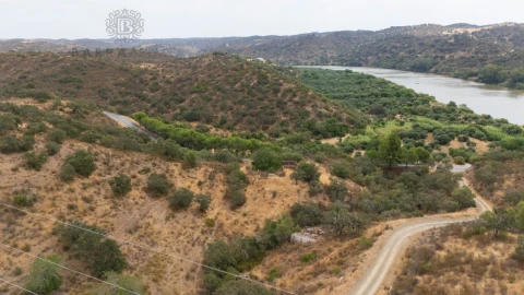 Terreno Misto para Venda em Alcoutim e Pereiro