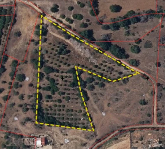 Terreno Agricola ou Rústico para Venda em Pechão Planta 1
